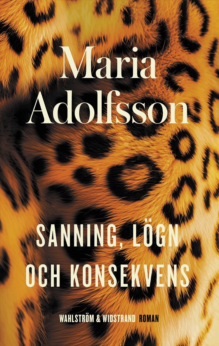Maria Adolfsson - Sanning, lögn och konsekvens, E-bok
