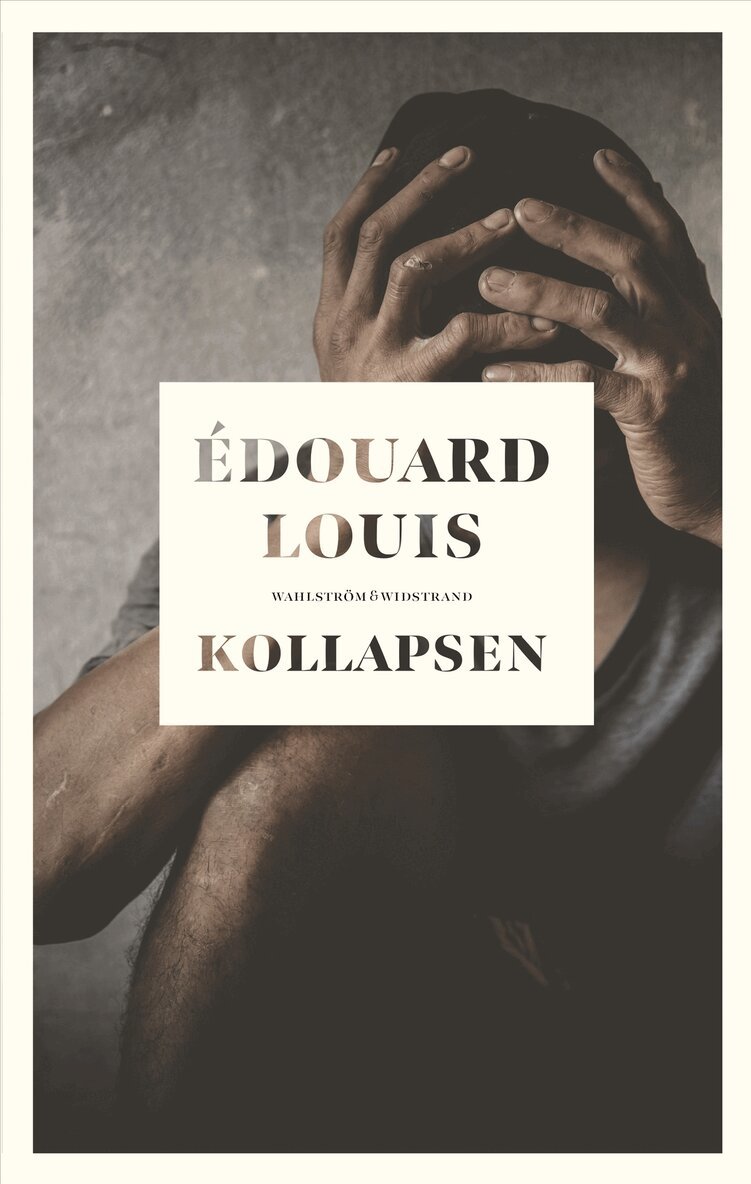 Édouard Louis - Kollapsen, E-bok