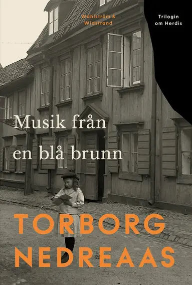 Torborg Nedreaas - Musik från en blå brunn, E-bok