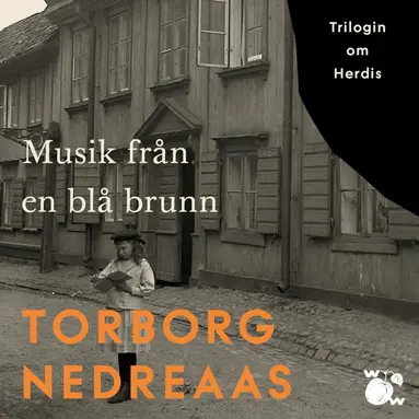 Torborg Nedreaas - Musik från en blå brunn, Ljudbok