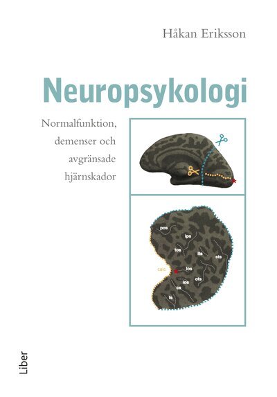 Håkan Eriksson - Neuropsykologi, Inbunden