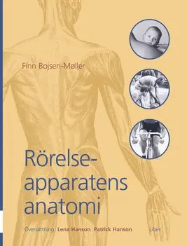 Rörelseapparatens anatomi