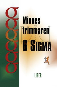 e-Bok Minnestrimmaren 6 Sigma