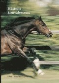 Hästens konvalescens, Häftad