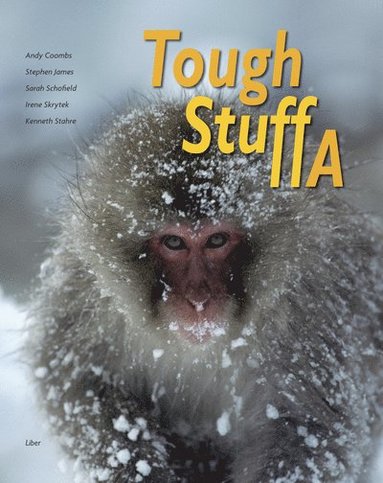 Tough Stuff A av Andy Coombs, Stephen James, Sarah Schofield, Irene Skrytek, Kenneth Stahre