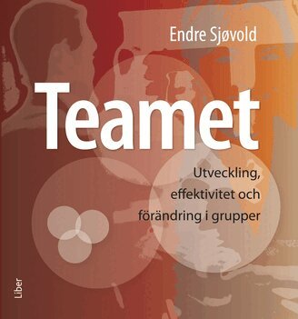 Endre Sjøvold - Teamet, Häftad