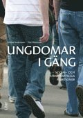 Ulrika Andersson, Titti Mattsson - Ungdomar i gäng : social- och straffrättsliga reaktioner, Häftad