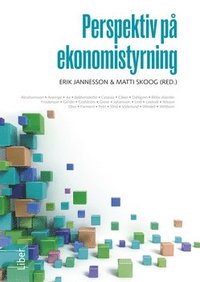 e-Bok Perspektiv på ekonomistyrning