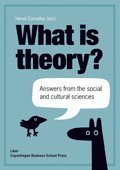 What is theory? : answers from the social and cultural sciences, Häftad