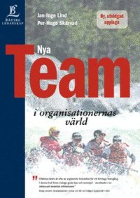 e-Bok Nya team i organisationernas värld