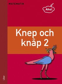 e-Bok Aha Matematik Knep och knåp 2