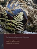 Matematikens m�nster