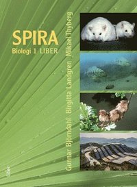 e-Bok Spira 1