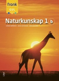 e-Bok Frank Gul Naturkunskap 1b