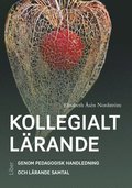 Kollegialt lrande