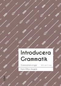 e-Bok Introducera Grammatik Sfi