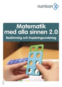 e-Bok Numicon Matematik med alla sinnen Bedömning och Kopieringsunderlag