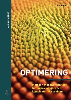 Optimering : metoder modeller och teori för linjära olinjära och kombinatoriska problem