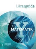 Matematik Y Lrarguide