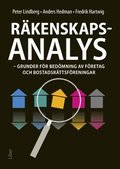 Rkenskapsanalys