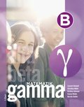 Matematik Gamma B-boken