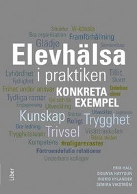 Elevhlsa i praktiken : Konkreta exempel