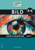 Tummen upp! Bild kartlggning k 4-6