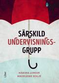 Srskild undervisningsgrupp