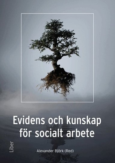 Alexander Björk - Evidens och kunskap för socialt arbete, Häftad
