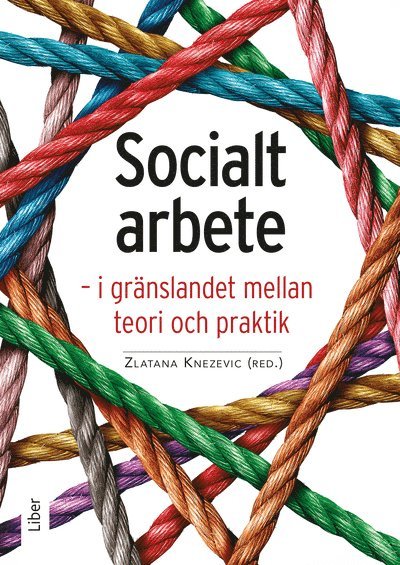 Socialt arbete : i gränslandet mellan teori och praktik, Häftad