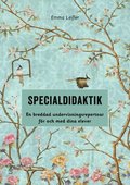 Specialdidaktik : en breddad undervisningsrepertoar fr och med dina elever