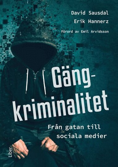 David Sausdal, Erik Hannerz - Gängkriminalitet : Från gatan till sociala medier, Häftad