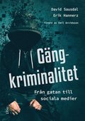 Gngkriminalitet : Frn gatan till sociala medier