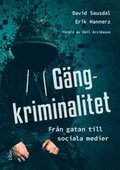 Gngkriminalitet
