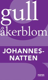 e-Bok Johannesnatten