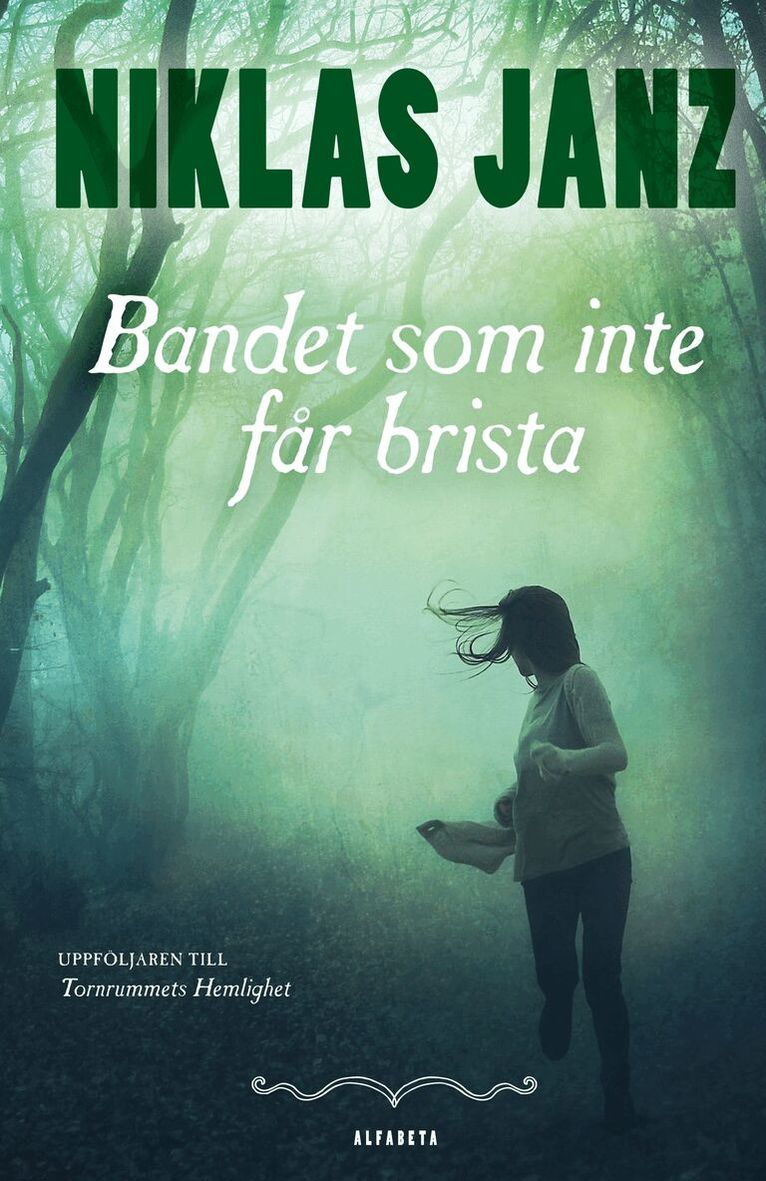 Niklas Janz - Bandet som inte får brista, E-bok