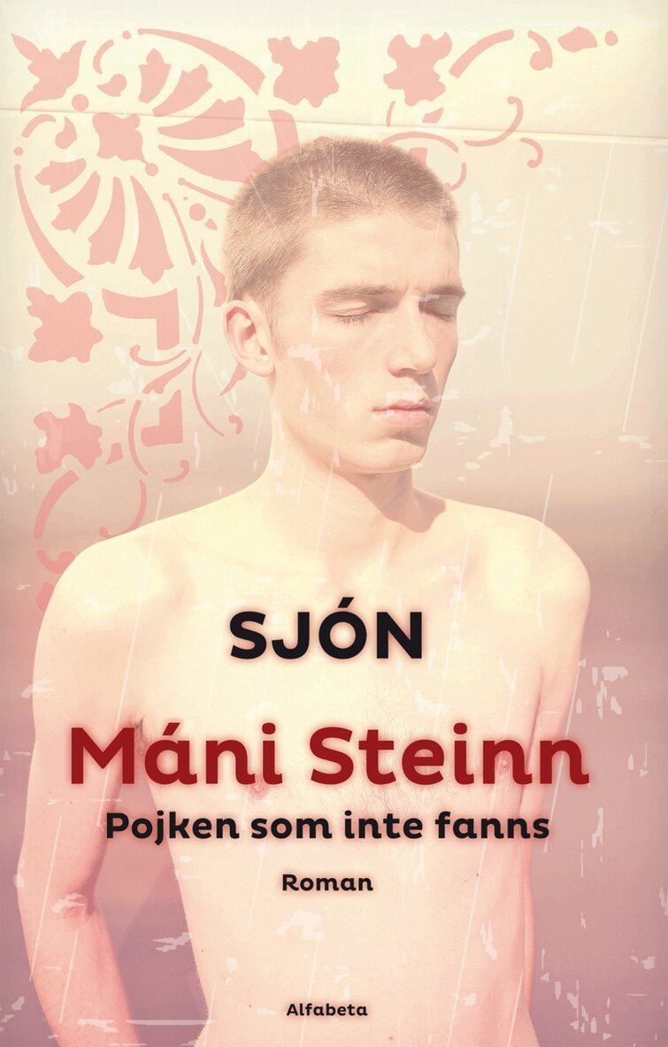 Sjón - Máni Steinn : pojken som inte fanns, E-bok