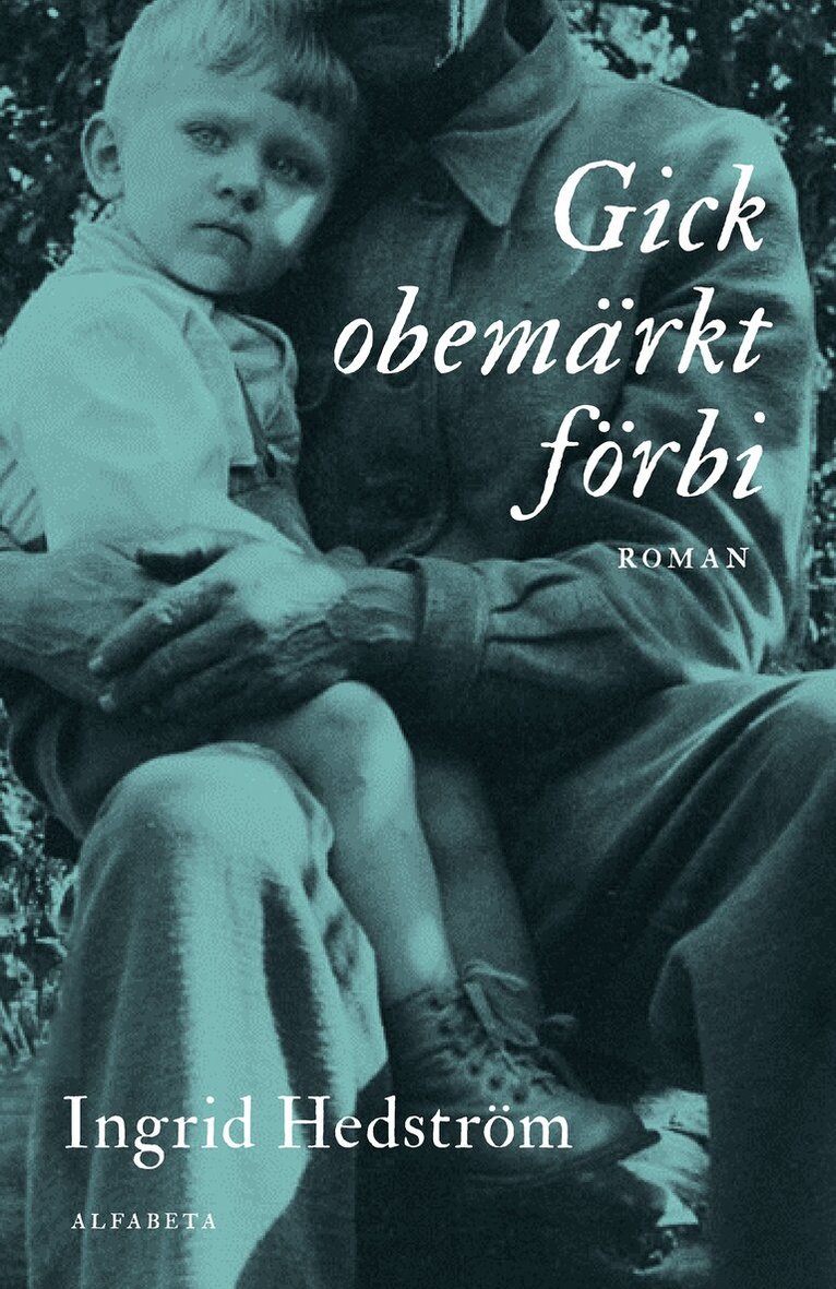 Ingrid Hedström - Gick obemärkt förbi, E-bok