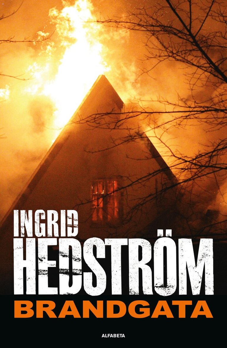 Ingrid Hedström - Brandgata, E-bok