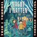 Ngot i natten