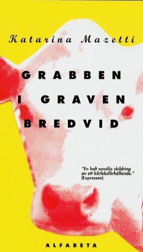Katarina Mazetti - Grabben i graven bredvid, E-bok