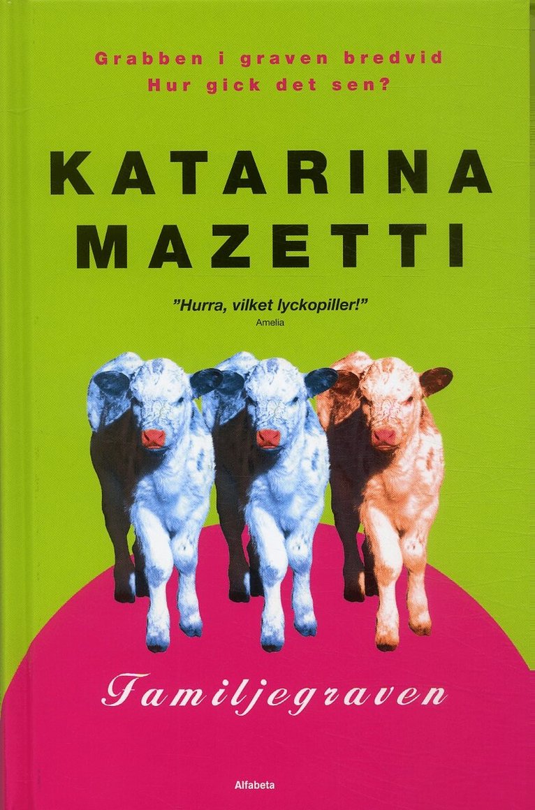 Katarina Mazetti - Familjegraven : en fortsättning på romanen Grabben i graven bredvid, E-bok