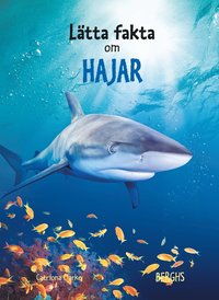 Lätta fakta om hajar