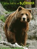 Lätta fakta om björnar