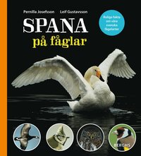 e-Bok Spana på fåglar