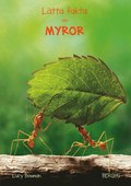 Lätta fakta om myror