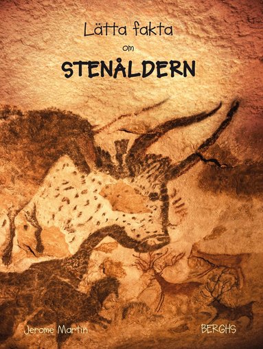 Jerome Martin - Lätta fakta om stenåldern, Inbunden