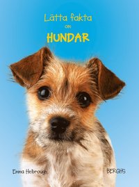 L�tta fakta om hundar