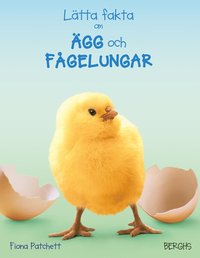 Lätta fakta om ägg och fågelungar