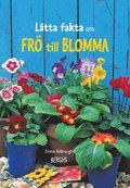 Lätta fakta om frö till blomma